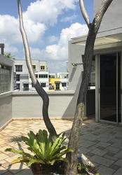 The Florida (D19), Condominium #108964402